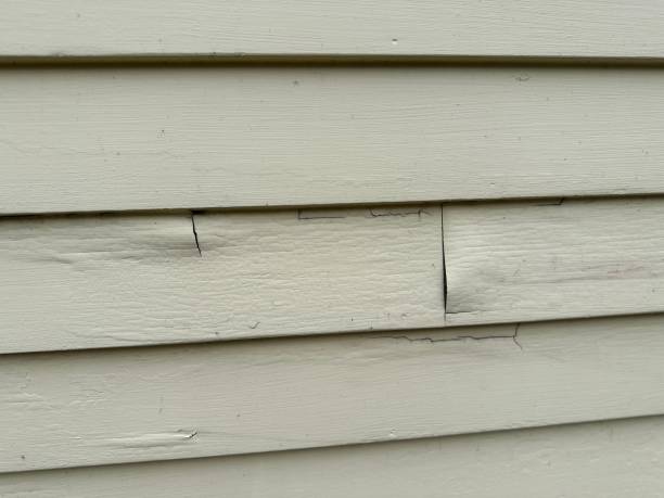 Best Property Management Cleanouts  in Harrisonville, MO