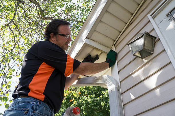 Best Carpet Removal and Disposal  in Harrisonville, MO